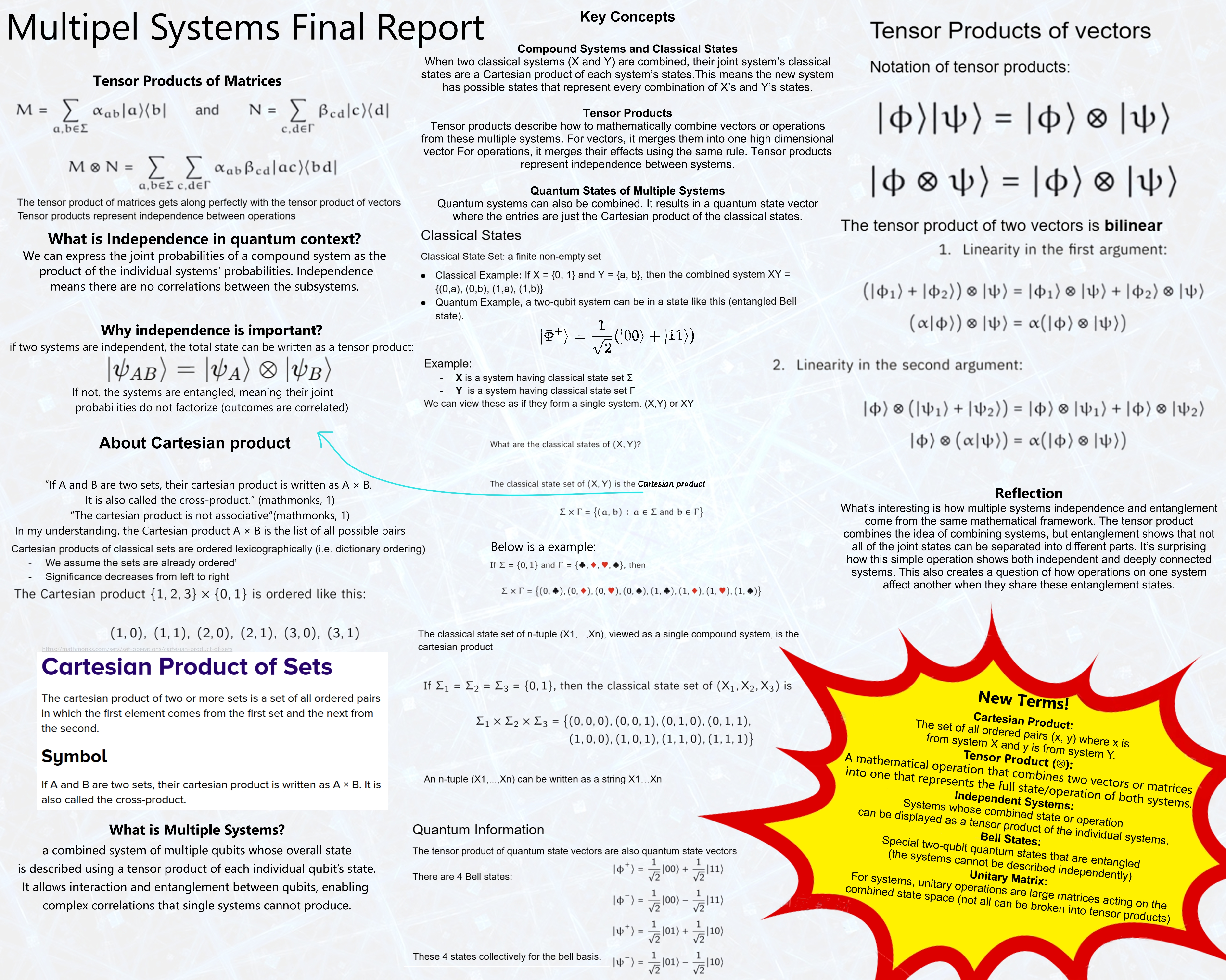 Multiple Systems Final Report